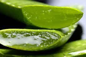 Nutrients of Aloe vera